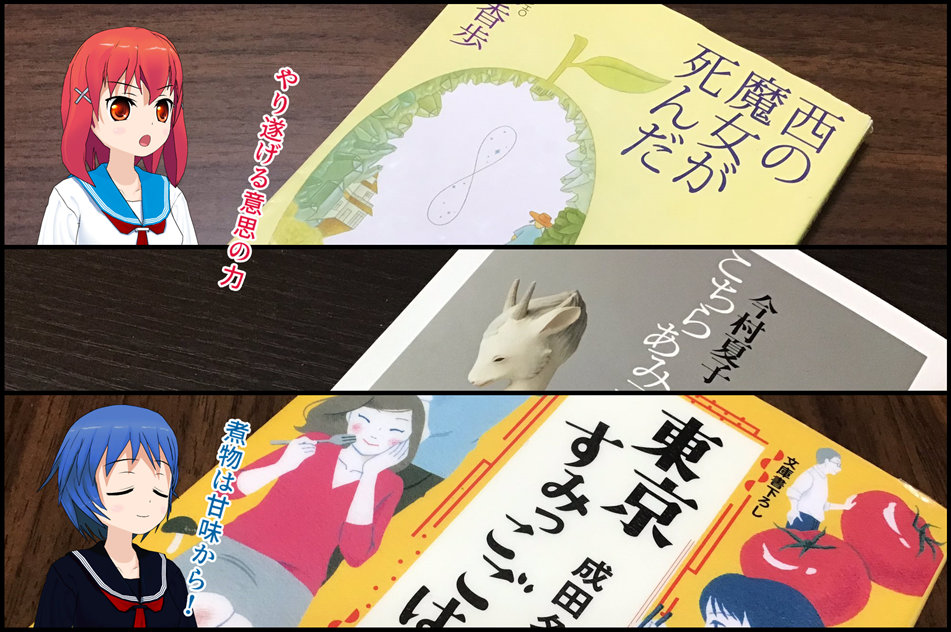 西の魔女はあみ子ごはん